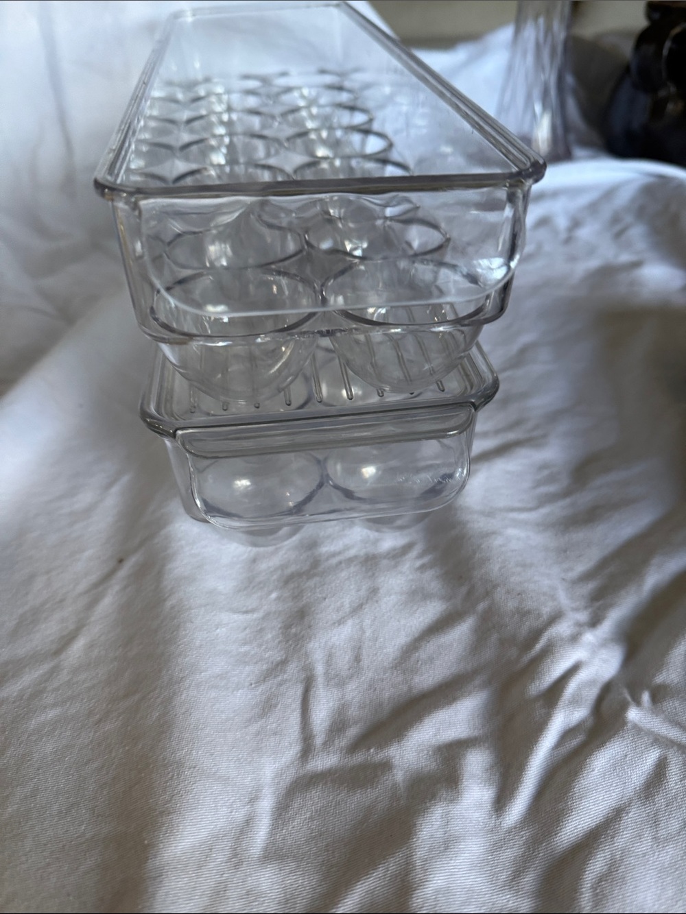 Clear Plastic Egg Storage Trays - Set of 2